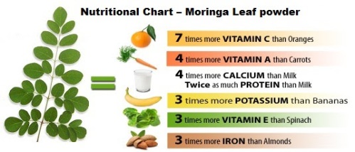 nutritional parts of moringa